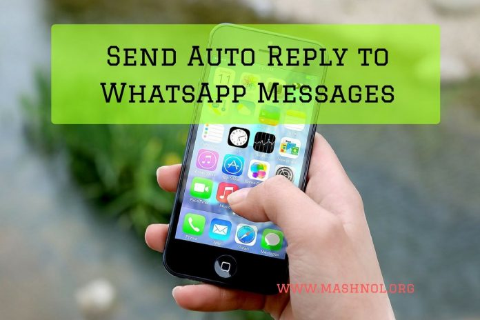 Apps Send auto reply to Whatsapp message iPhone Android