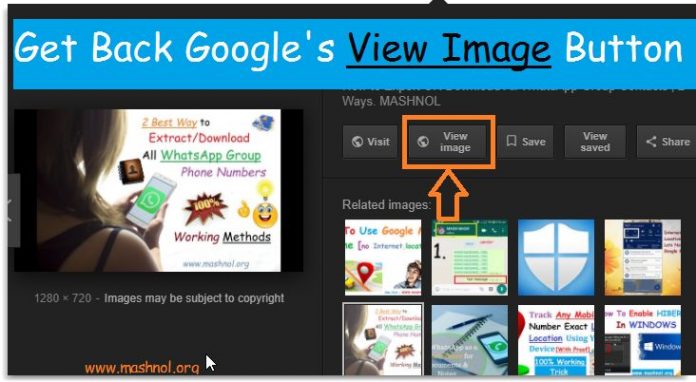 How to Get back Google View Image