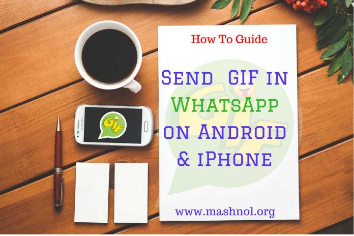 how to send GIF Image in Whatsapp on iPhone and Android device